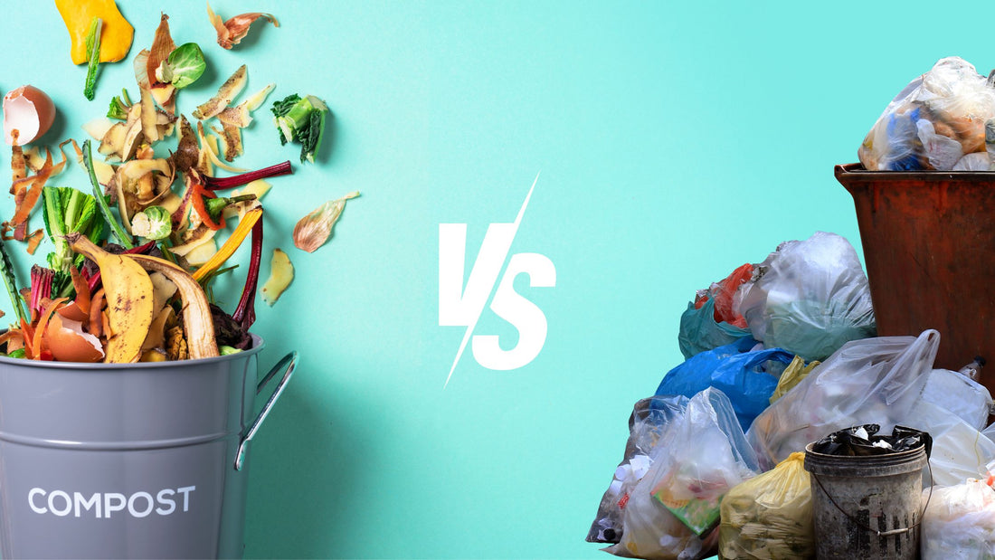 What Can You Compost & What Is Trash: A Comprehensive Guide